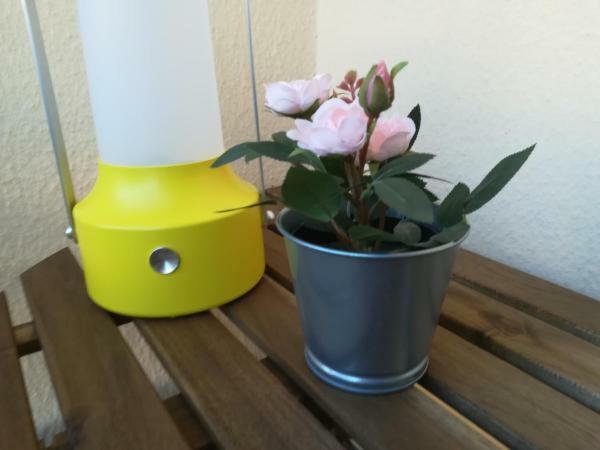 Apartment Iris Pombal (Leiria)