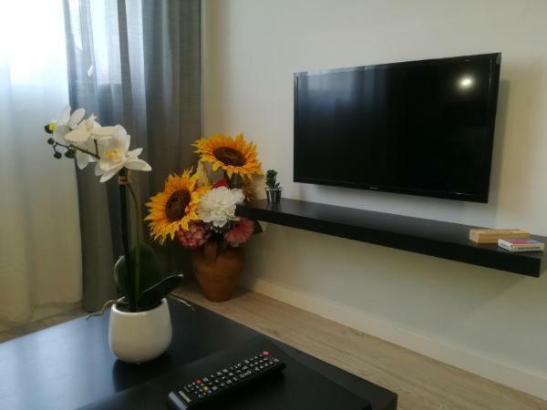 Iris Apartment Pombal (Leiria)
